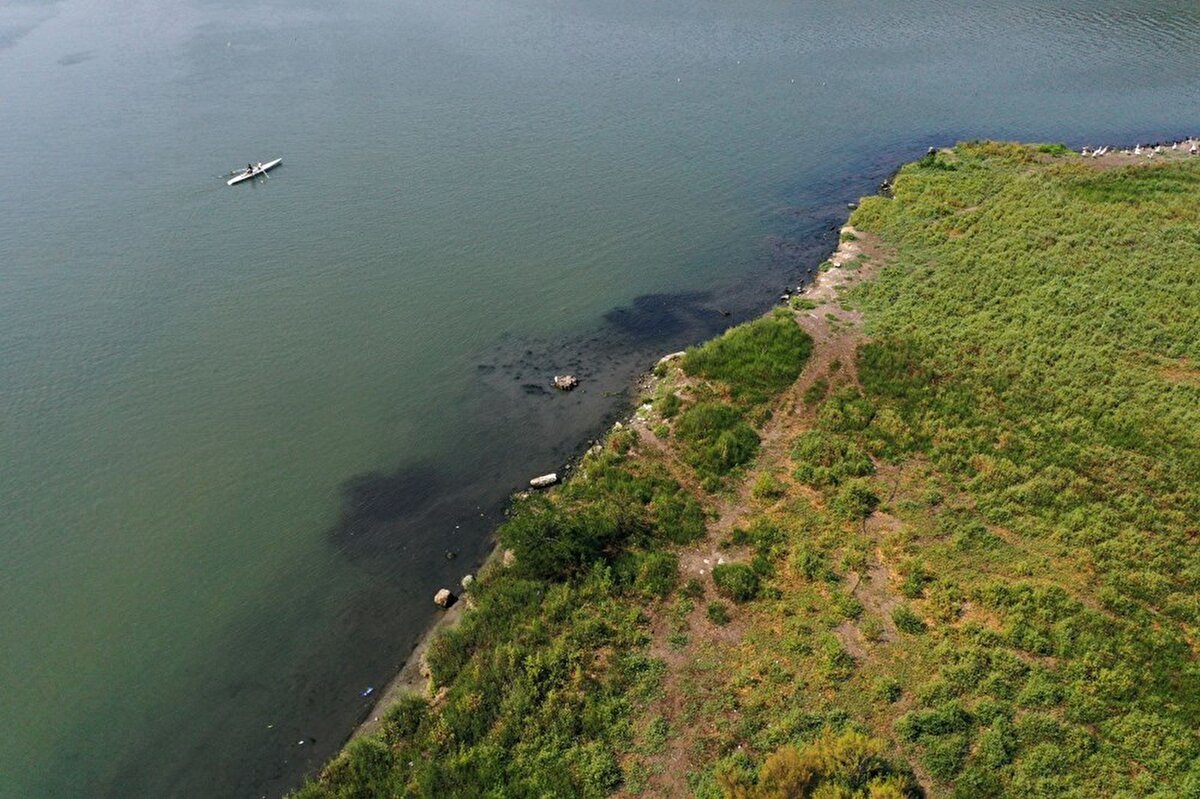 İstanbul'da Eyüpsultan Silahtarağa mevkisinin kıyı kesimleri ve adacıkların çevresinin siyaha dönüştüğü gözlendi.