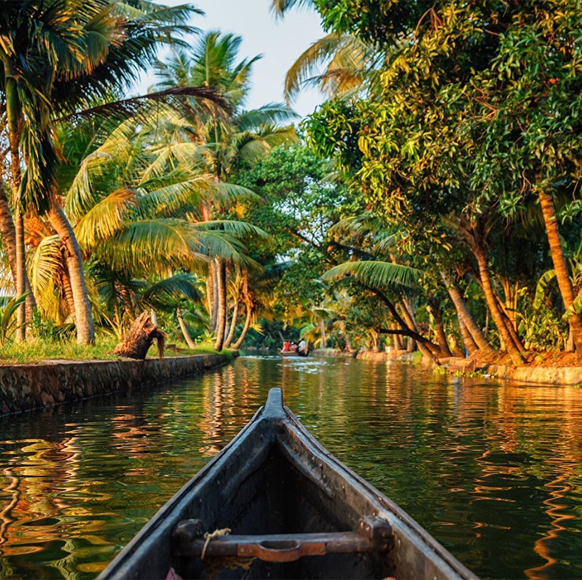 Palmiye kaplı su kanalları arasında yüzen otelle yolculuk... Allepey'de okyanusun kıyılara girerek oluşturduğu kanallarda yolculuk, muhteşem bir görsellik sunuyor insana. Kanallarda yol alırken kimi zaman bir ormanın içinde hareket ediyor gibi hissediyorsun, kimi zaman da bitmek bilmeyen bir nehirde.
