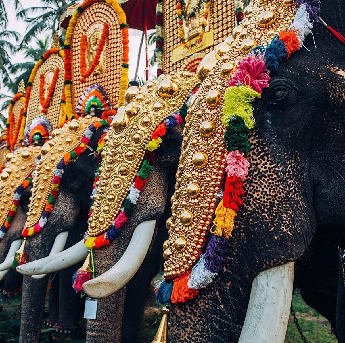Hindistan, seyyah ruhlar için bitip tükenmez bi’ hazine. Fotoğrafçılar için de öyle. Tac Mahal'i çocuklar dahi bilir. Ama bir de Hindistan'ın daha az bilinen ve son zamanlarda popüler olan yerleri var: Güney eyaletleri. Aslında birkaç yıldır fotoğraflarını gördüğümüz ve hayran kaldığımız yüzen oteller sebebiyle gündemimize girmişti Kerala. ⠀