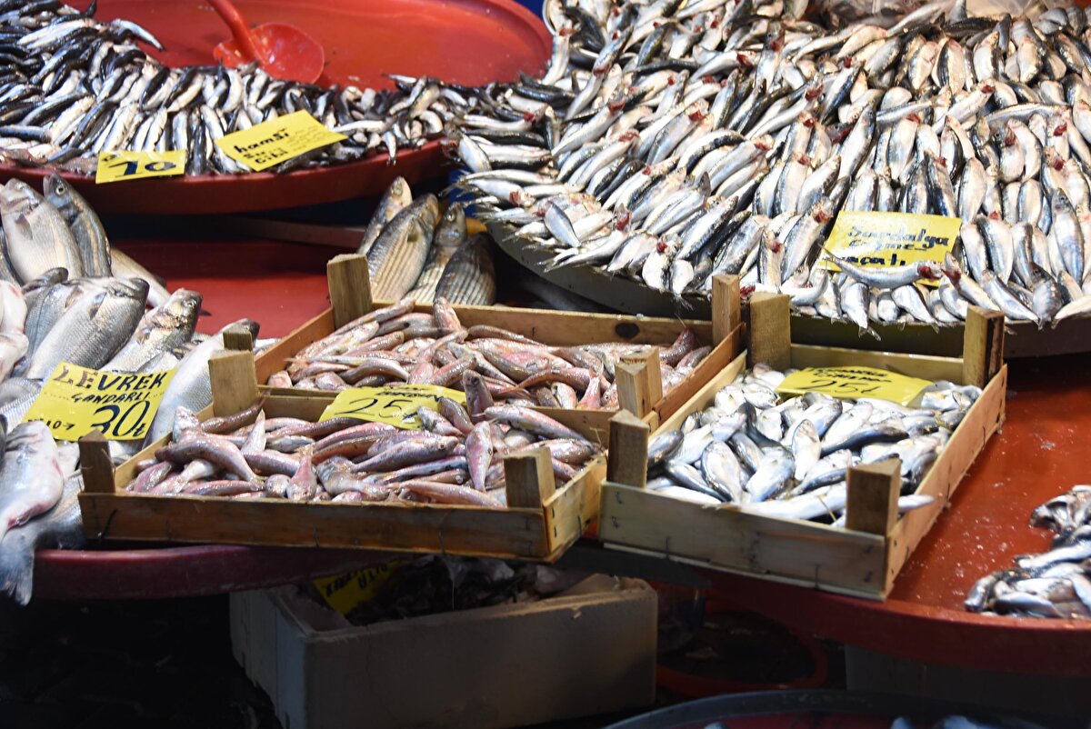 Fakat ne yazık ki, açılışlarda bile bunların kullanımı görüyoruz. Balıkların ya paslanmaz çelikten yapılmış ürünlere ya da plastikten yapılmış kaplara koyulması gerekiyor.