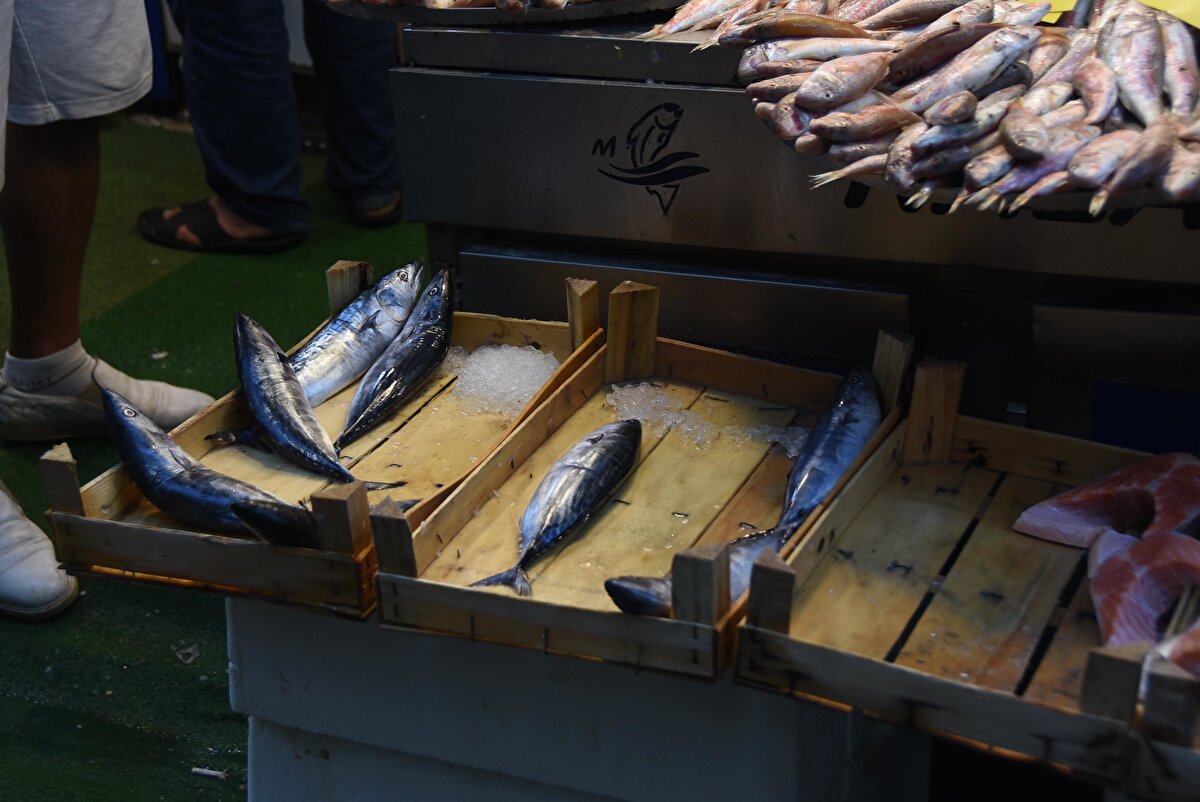 Balığın hayvansal protein açısından oldukça önemli bir gıda olduğunu aktaran Toprak, Kullanılan su mutlaka içme suyu kalitesinde olmalı.