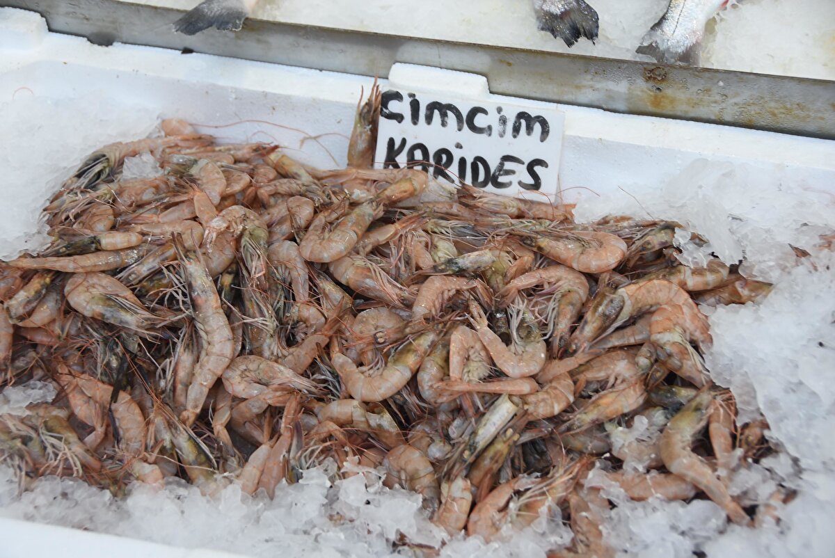 O nedenle balıkları fazla sıcak havayla temas ettirmeden, hızlı bir şekilde eve götürüp dolaba koymak gerekiyor. 2006 yılında yürürlüğe giren yönetmeliğe göre, sergi veya taşıma amaçlı olarak tahta kasaların kullanımı yasak.