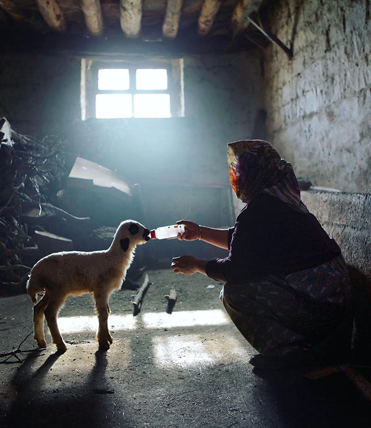 ‘’Amin Maalouf’un "Doğunun Limanları" isimli kitabında, kitabın kahramanı olan İsyan kendi hayatını anlatırken "benim hayatım ben doğmadan çok önce başlamıştı" diye bir ifade kullanmıştı.
