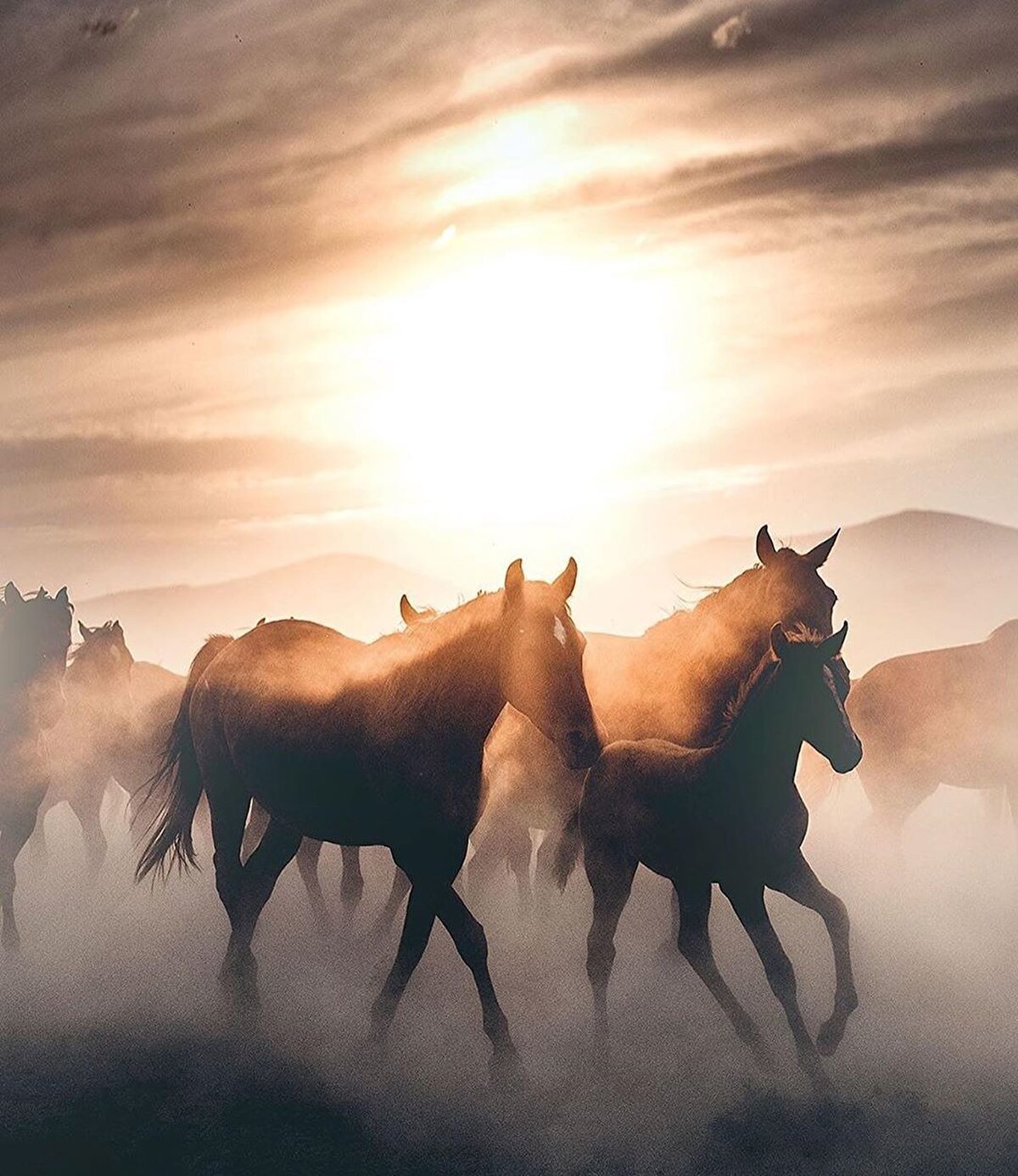 Hiçbir etkimin olmadığı o başlangıç noktası bugün bile beni tuhaf düşüncelere sürüklüyor. Bazen sanki o sabah eve başka şeyler gelseydi ben başka bir şey olacakmışım gibi hissederim.