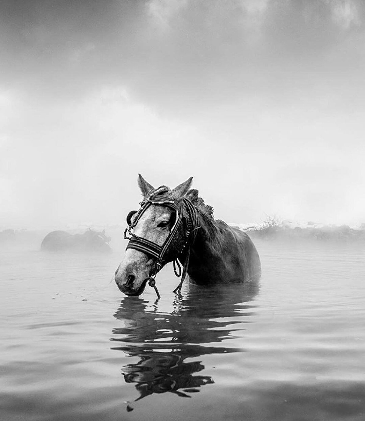 Ağabeyim Sarız’da fotoğrafçılık yapmak istemiş ve eski bir stüdyonun ekipmanlarını satın alıp eve getirmişti. Eski taslar, tuhaf ışıklar ve metal ayaklıklar…