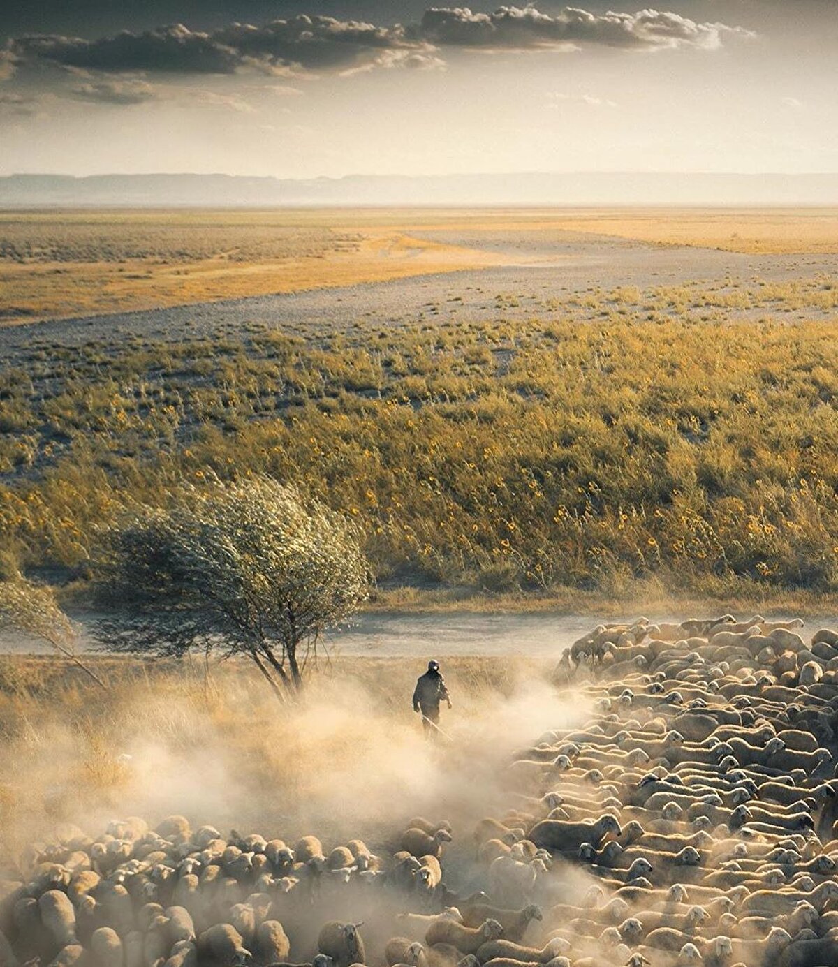 Ben de bir sabah uyandığımda böyle bir ses duymuştum. Babam, ağabeyime kızıyordu; "Götür geri ver, bu kadar borca girilir mi, bu iş yapılır mı?" diye.⠀
