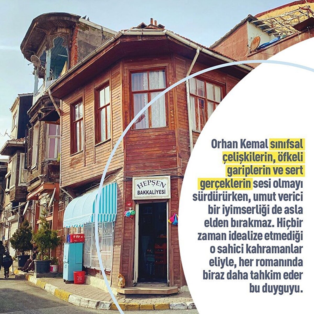 Uçurum kenarlarında bitmiş göz alıcı çiçekler gibi.