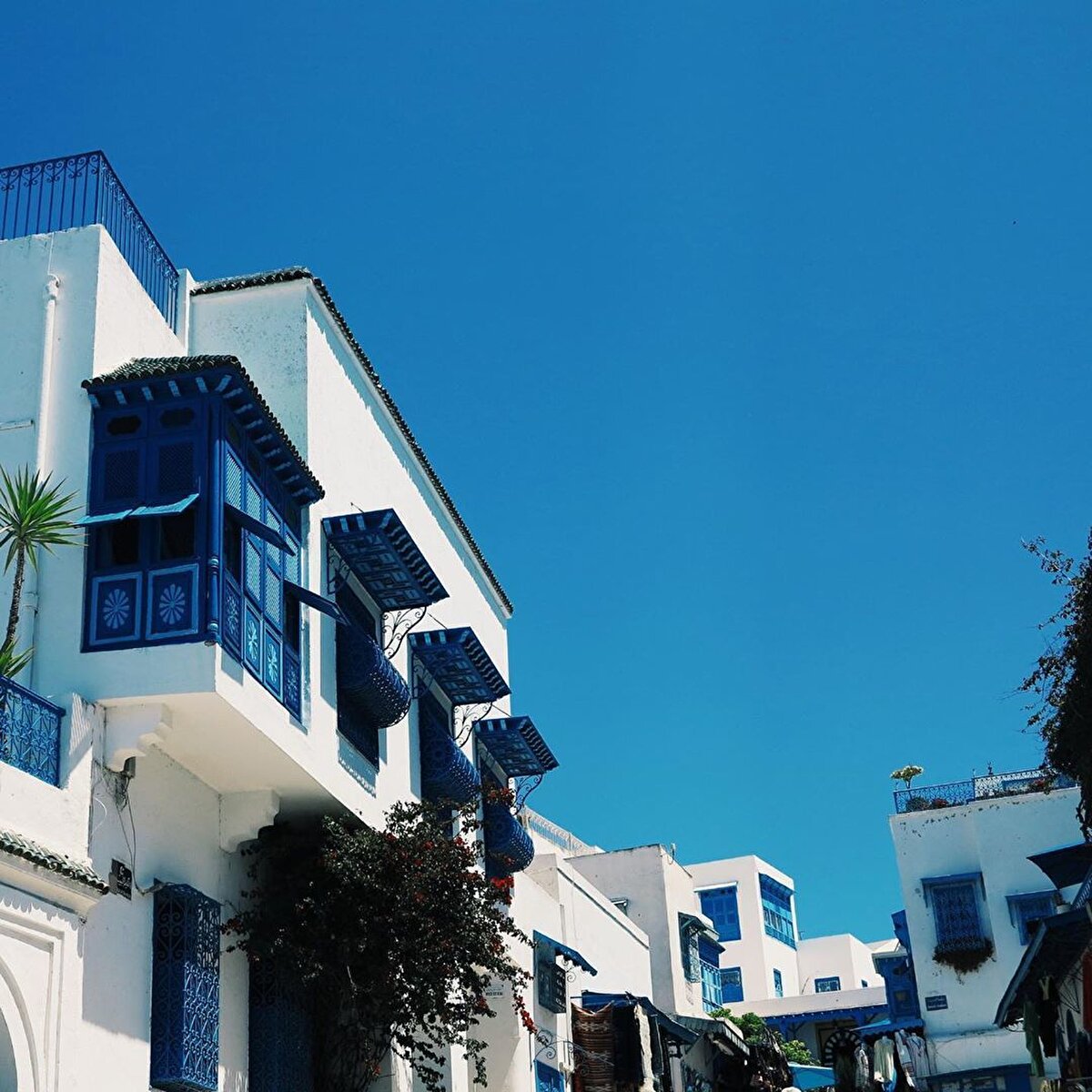 📌 Sidi Bu Said her ne kadar dünyanın dört bir yanından turist akan bir yer olsa da yaklaşık 6000 kişilik nüfusu ile bir yerleşim yeri. Burası öylesine otantik bir yapıya sahip ki kendini burada âdeta bundan birkaç yüzyıl öncesinde hissetmek işten bile değil. Ülke için önemli de bir turizm merkezi olduğu için bu yapının bozulmamasına büyük önem gösteriliyor. Geleneksel çarşısı, Akdeniz’e nazır Tunus çayını yudumlayabileceğin güzel bahçeleri, Tunus lezzetlerini tadabileceğin şirin yapılara sahip lokantalarıyla Sidi Bu Said kesinlikle görülmesi gereken bir yer.⠀