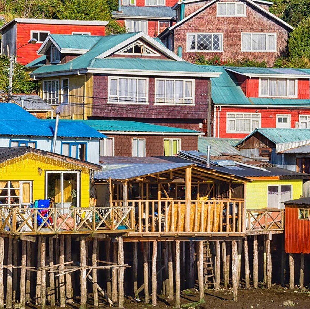 🏝 Böylece zaten adaya yayılan evlerin sayısı iyice artar ve palafitolar, adadaki yerini sağlamlaştırır. Mersin ağacından keresteler kullanılarak inşa edilen evlerin bir cephesi sokağa bakarken diğer cephesi suya bakıyor. Evlerin sokağa bakan cephesi küçük bir köprü ile karaya bağlanırken diğer cephesi adeta karadan uzanan bir rıhtımın balkonlu pencereli hâli gibi. Suya bakan cephenin üst katı teras işlevi görürken alt katı ise gelgit zamanlarına bağlı olarak balıkçılık için kullanılıyor.