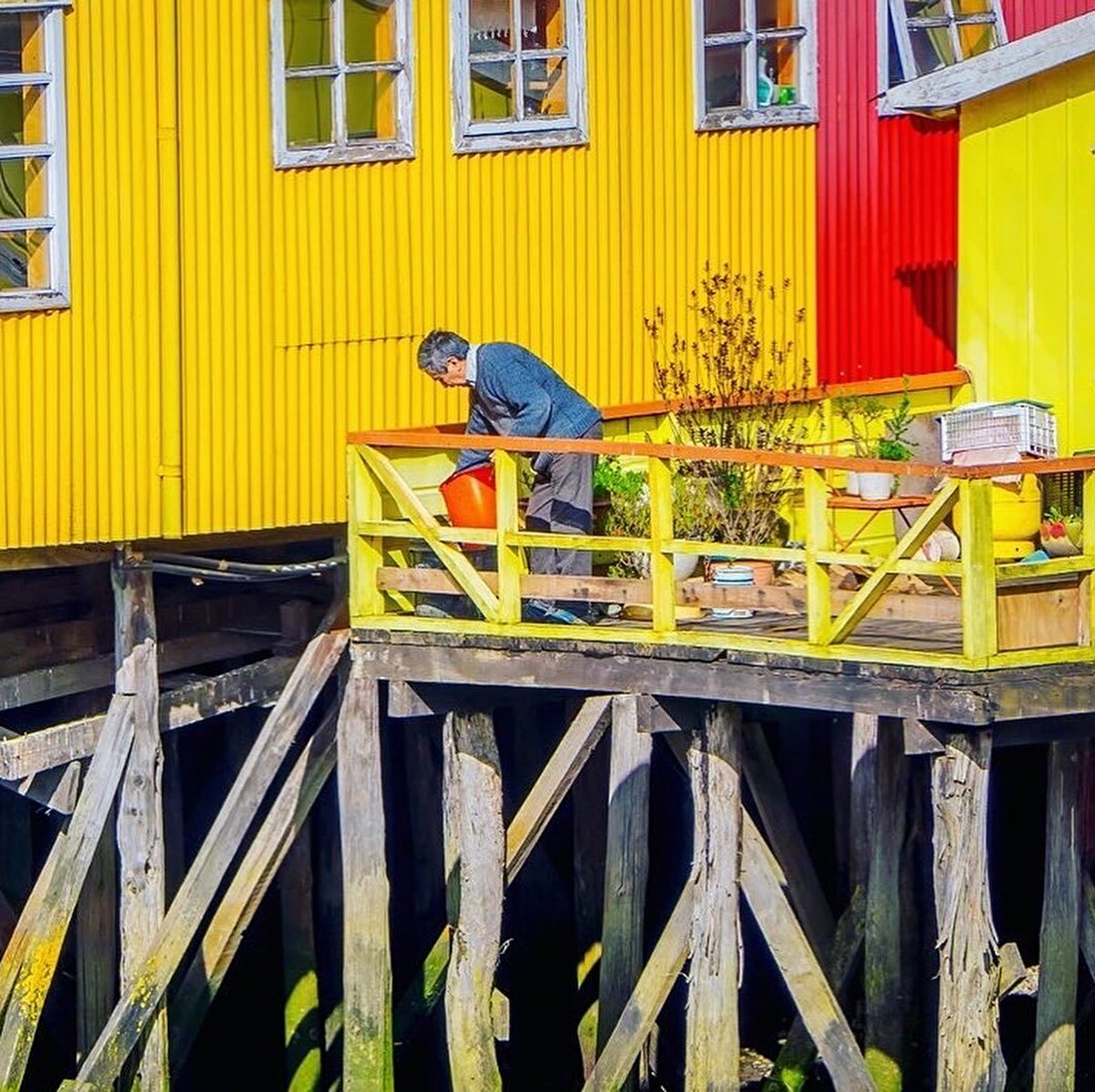 🏡 19.yy’ın sonlarında Chiloe limanlarında inşa edilmeye başlanan palafitolar ilk olarak, hane, otel ya da ambar işlevi görür. 1940 yılında adanın ana tüketim maddesi olan patatesin üretimini vuran bir hastalık nedeniyle taşradan şehirlere büyük bir göç yaşanır. Taşradan gelen çiftçiler kimseye ait olmayan deniz kenarındaki toprakları satın almaya başlayıp balıkçılık yaparlar. 