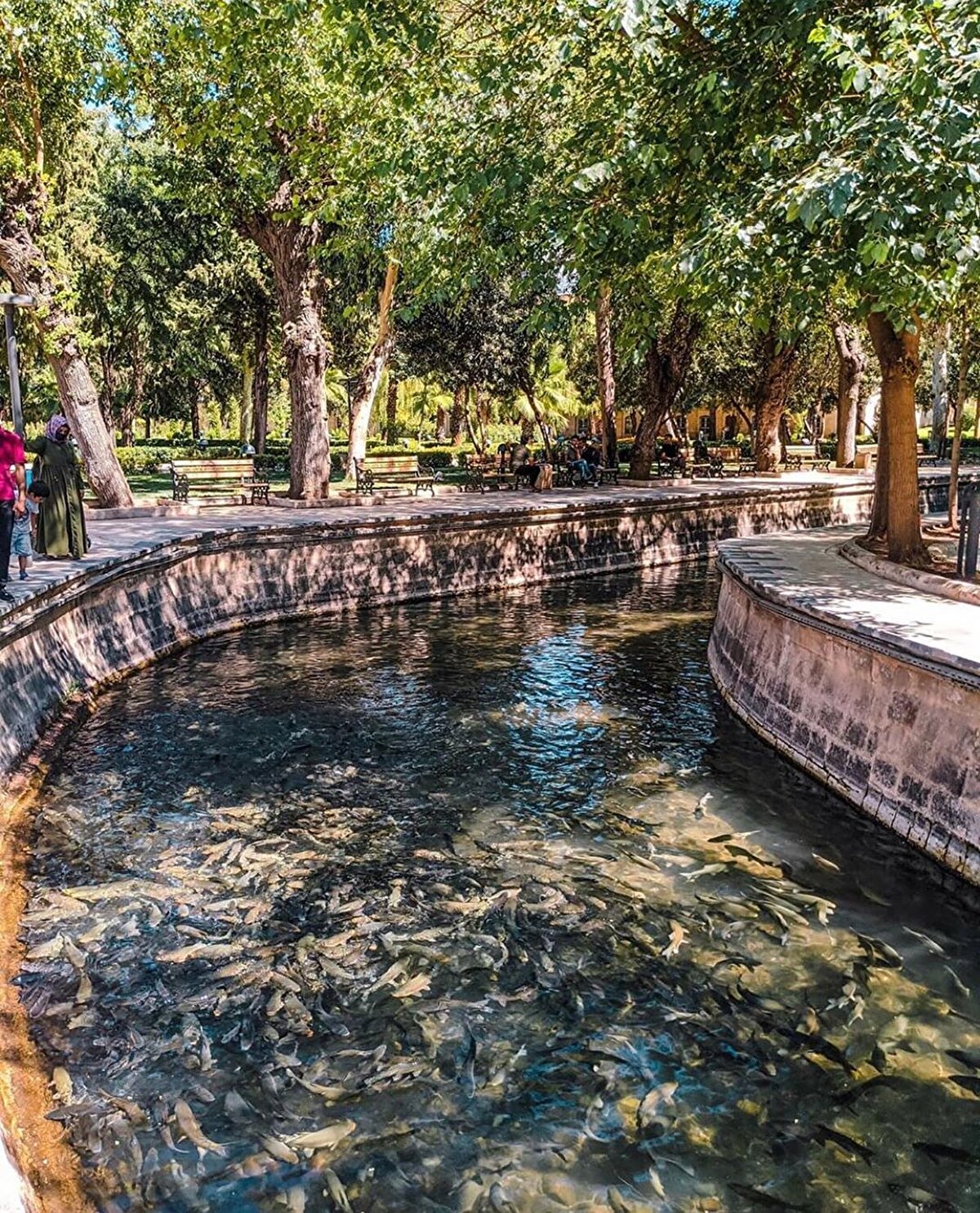 📍Balıklıgöl’ün kuzey dibinde bulunan cami 1736 yılında Osmanlı İmparatorluğu’nun Rakka Valisi Rıdvan Ahmet Paşa tarafından yaptırılmış.
