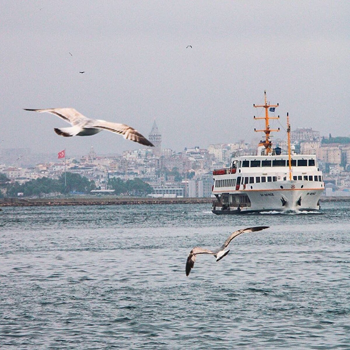 📌 Bir başka efsaneye göre ise şehir Megaralıların deniz kuvvetleri lideri Byzas tarafından kurulmuştur. Kahinin yurt kurmak isteyen Megaralılara körlerin karşısında yurt edinmelerini söylemesi üzerine Khalkedon (Kadıköy) sakinleri karşıdaki Byzantion’un zenginliklerini göremediklerinden dolayı körlükle itham edilmiş ve Megaralılar günümüzdeki Sarayburnu mevkiine şehirlerini kurmuşlardır.⠀