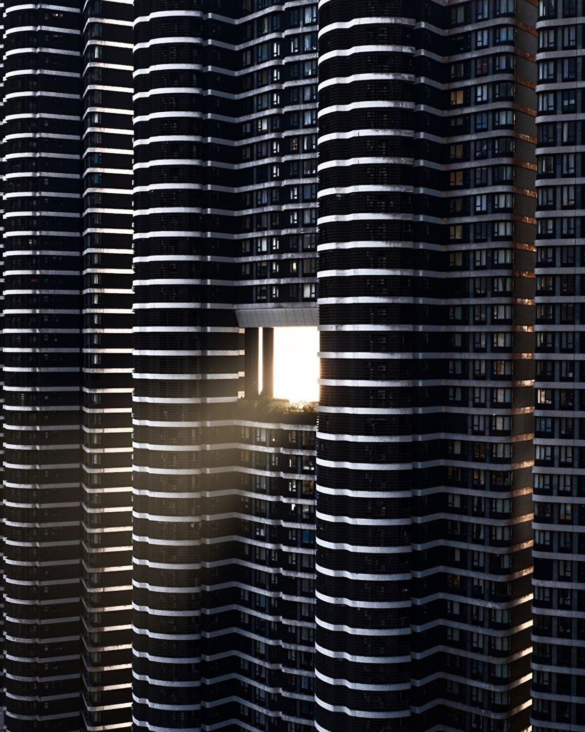 Ejderhanın Kapısından Işık - Hong Kong