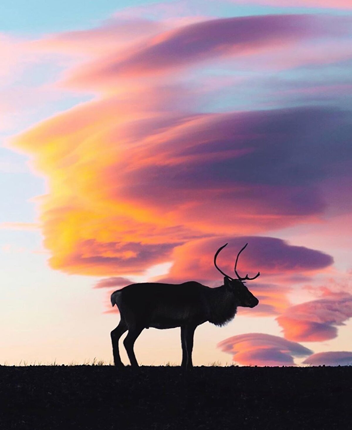 ⛺ Konaklama maliyetinizi düşürmek için çadır, kamper denen yarıkaravan veya ev konaklamalarını tercih edebilirsiniz. ⠀