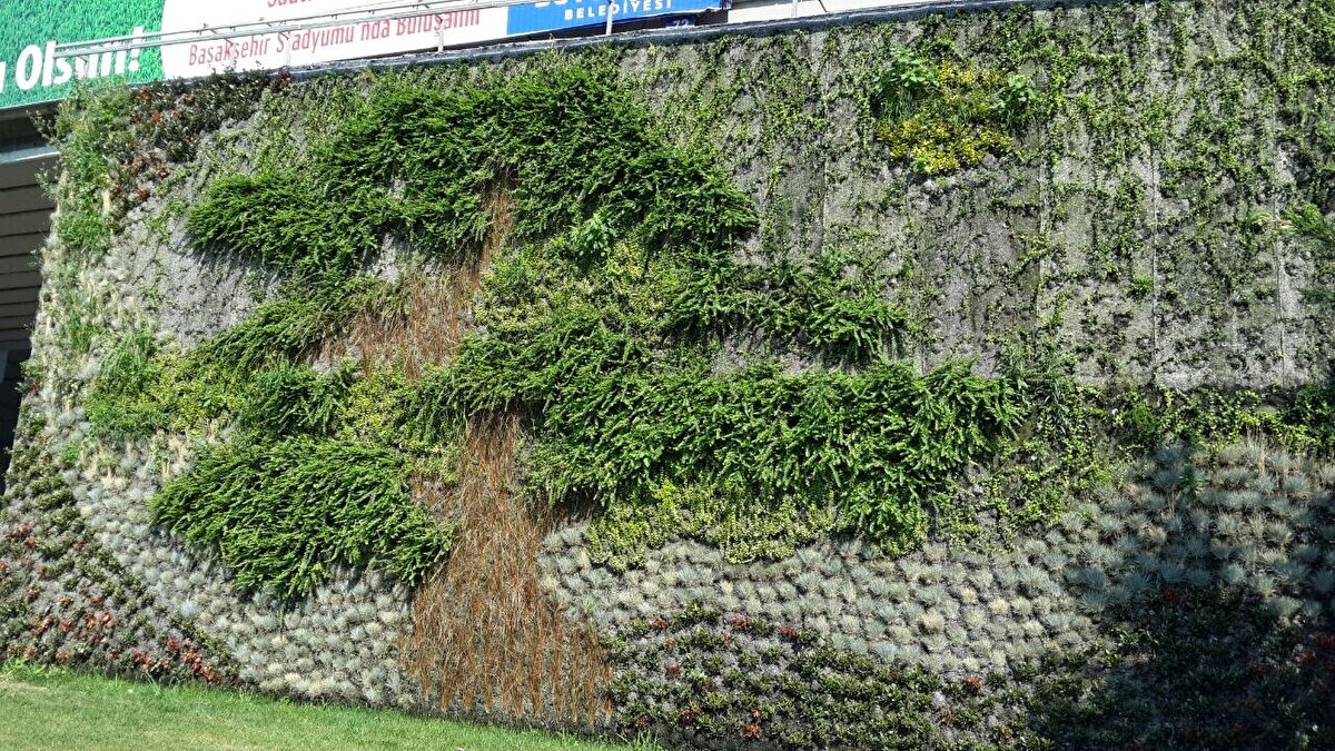 🌳Dikey bahçeler yararlı mı, zararlı mı?