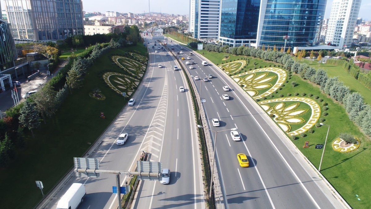 Yine egzozlardan salınan önemli hava kirleticileri için bir nevi filtre görevi görürler.  Araştırmalara göre 60 m2'lik bir bahçe duvar 40.000 kg zararlı gaz ile 15 kg ağır metali süzebilir.  Keza zararlı uçucu organik bileşikleri absorbe ederek hava kalitesine katkı sunarlar.