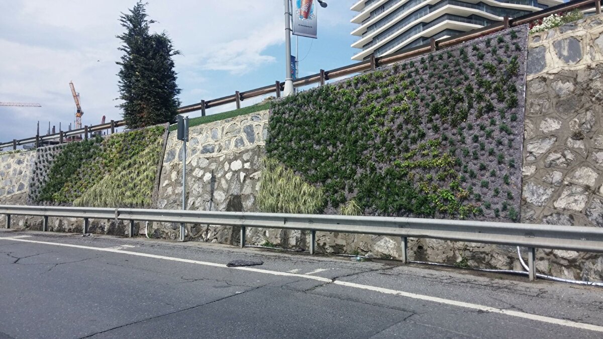 10 yıl önce İBB, bu faydaları gözeterek çalışmalara başlamış.  İlk olarak tamamen canlı bitki; zamanla da maliyeti optimum kılmak için bazı yerlerde (ağaç motifi vb) kompozit malzeme de kullanılmış.  Damlama yöntemi ile de sulama sorunu çözülerek sistem altyapısı oluşturulmuş.