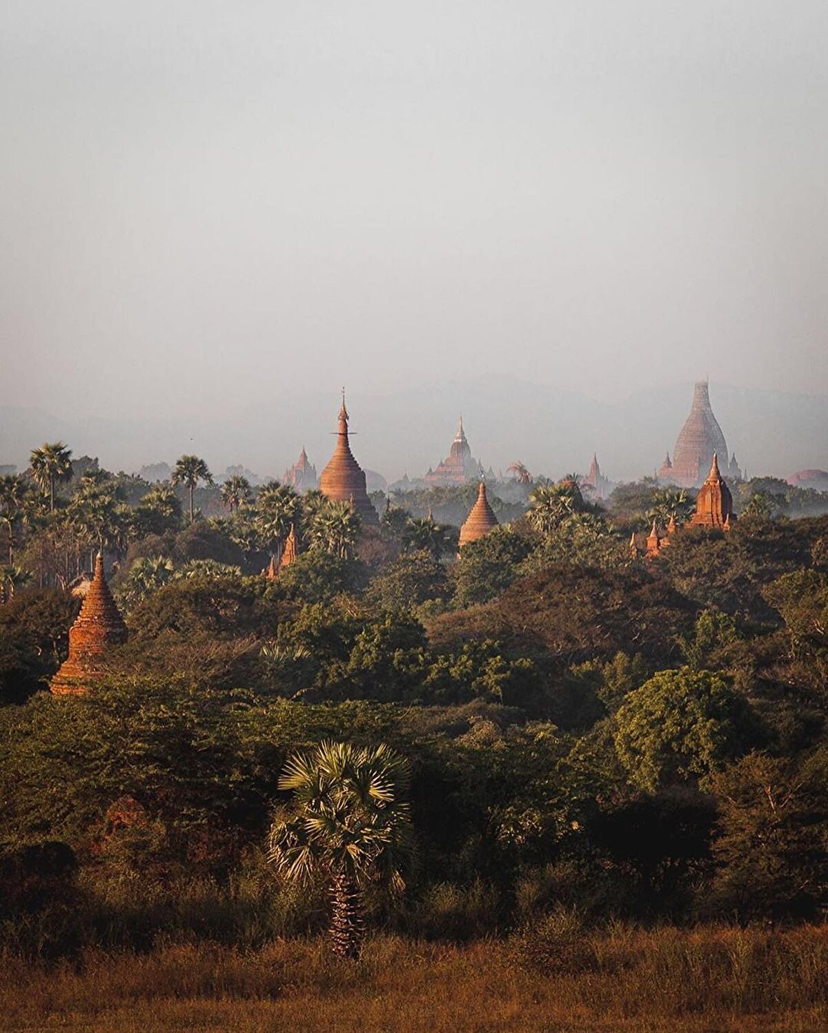 ✨ “Pagodalar Ülkesi” olarak anılan Myanmar’da o kadar çok tapınak var ki, tam sayısı bilinmiyor bile. Sadece Bagan şehrinde 2300 adet tapınak var, bu rakam ise zamanında yapılmış 10.000 tapınaktan zamana direnebilmiş olanların geriye kalan sayısı. Altın tapınaklar, kiremit renkliler, beyaza boyanmış tapınaklar uçak Myanmar’a iniş yaparken gökyüzünden görülebiliyor. Myanmar’daki tapınakların mimarisi, diğer Budist ülkelerdeki yapılardan epey farklı. Bazı pagodaların dört tarafında girişler bulunuyor ve içeride yine dört yöne bakacak şekilde yerleştirilmiş devasa Buddha heykelleri yer alıyor, diğerlerinin ise girişleri bulunmuyor.