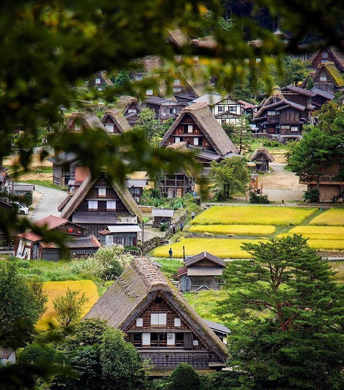 🇯🇵 UNESCO Dünya Mirasları Listesi’ne alınmış özel bir yerleşim yeri olan Shirakawa-go, modernleşmeyle birlikte yok olmaya yüz tutmuş geleneksel Japon köylerinin tüm özelliklerini taşıyor. Hâlâ yaşıyor olması güzel. 