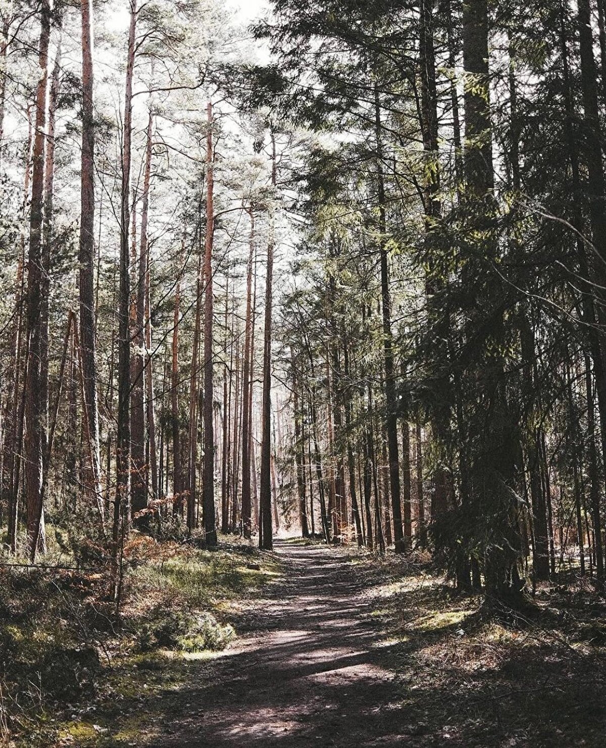 ✨ Hermann Hesse, Knulp: Tüm hayatını yollarda geçiren, gittiği her yerden bir süre sonra yine sevdiğine, yani yollara dönen bir göçebenin öyküsü bu. Hermann Hesse'ye göre, Knulp gibi figürlerin, kimseye yararı dokunmasa da, yararı dokunan kimilerine oranla çok daha az zararı dokunur. Knulp gibi yetenekli ve hayat dolu insanlar, yaşadıkları çevrede kendilerine yer bulamıyorlarsa, bunda onlar kadar çevreleri de suçludur.