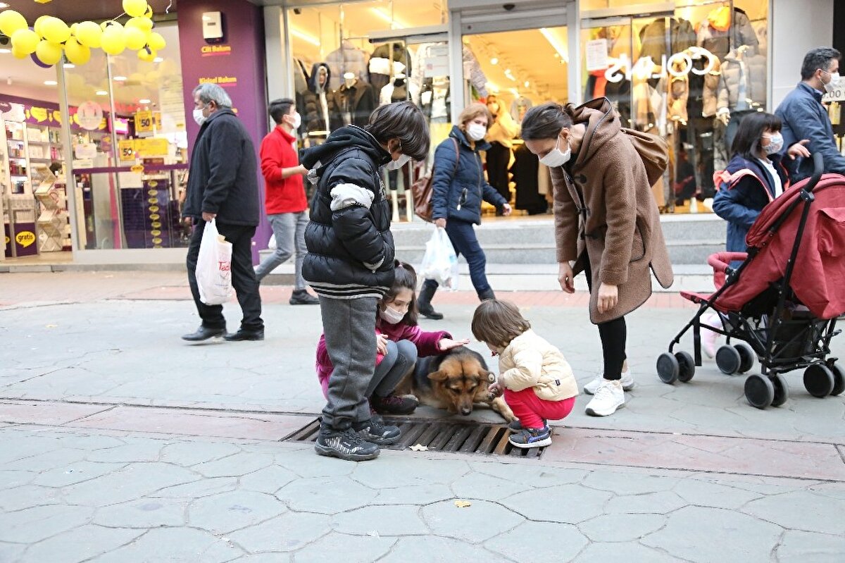 Köpeğin davranışları nedeniyle adının mazgal olarak dillendirildiğini söyleyen Mehmet Barlas adlı vatandaş ise, “Bu köpekte huy yaptı. Korona zamanından beri çeşmenin oradan başladı yavaş yavaş başa kadar gidiyor. Fare bulacak diye arıyor. Gerçekten artık esnafta seviyor artık. Biz de seviyoruz. Fethiye caddesinin gülü oldu. İzmit’te 1 aydır popüler. Daha önce bir ismi yoktu şuan ismi mazgal olarak kaldı” diye konuştu. 