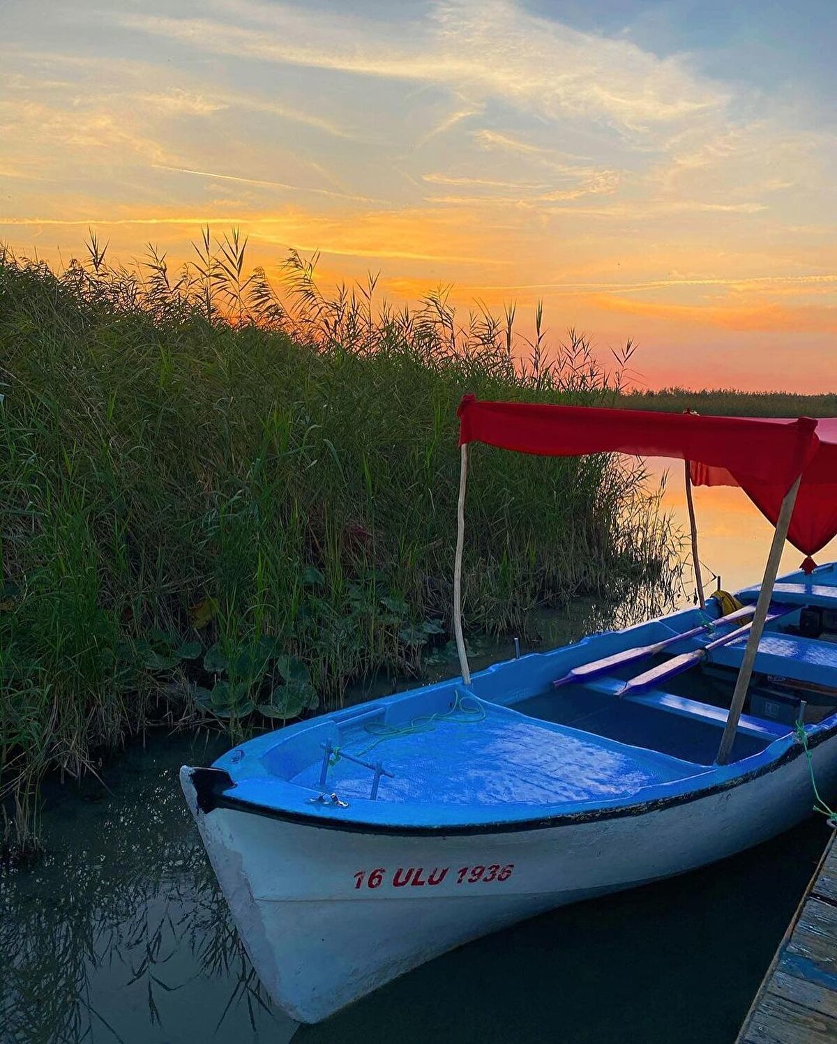 🚣🏻‍♀Yağışların ardından adeta Venedik’e dönüşen köyde kaldırımlar yollar hatta ağaçlar gövdelerine kadar su altında kalıyor. Köy içerisinde sandal gezintisi yapabilmeniz için makul ücretlerde gezi düzenleyen sal sahipleri bulunuyor. Köyün çevresini tamamen sandal ile gezerek çok güzel fotoğraflar çekebilirsiniz. Ayrıca akşam olmadan kesinlikle köyden ayrılmayın. Gün batımı görüntüsü insanı adeta büyülüyor. Fotoğraf makinelerinizi hazır edin.⠀