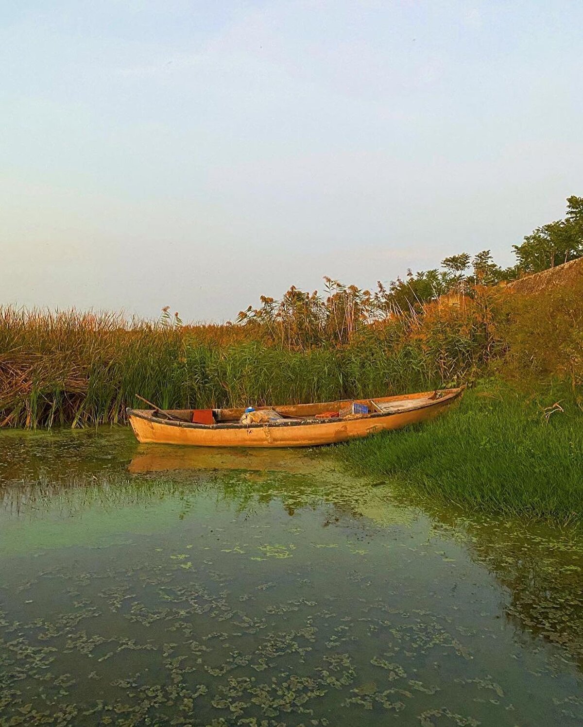 Kızadası’nda bulunan Roma dönemine ait Apollon Tapınağı’da görmeye değer yerlerden biri. Eskiden genç aşıkların buluşma yeri olan köyün doğal anıtı Ağlayan Çınar’ı da mutlaka gidip bir görün. Genç âşıklar için gözyaşı döken bu çınar ilgiyi hak ediyor. ⠀