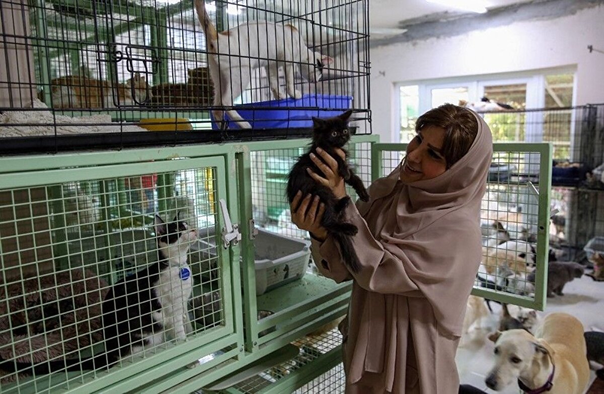 Hayvanlara bakmak için evini küçük kafeslere böldüğünün aktaran Balushi, 17’si kör olan hayvanların konforlu bir şekilde bakılabilmesi için kafelere ve yatakları 7 bin 800 dolar (yakşalık 62 bin Türk Lirası) harcadığını açıkladı.