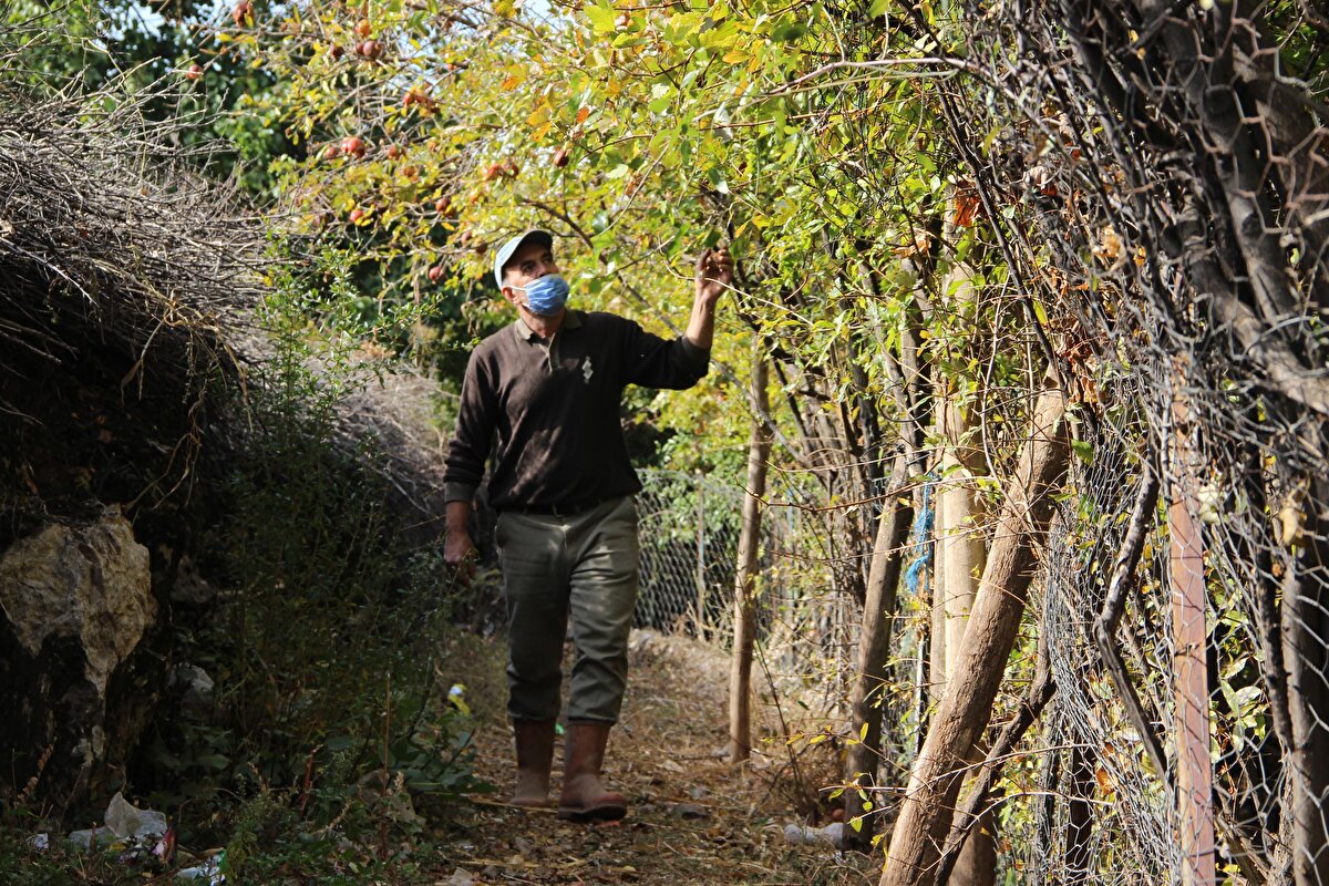 110 haneli mahallede çiftçiler, yaz-kış, kiraz, üzüm, vişne, kayısı, yeşil erik, dut, incir, böğürtlen, dolmalık biber, sivri biber, salatalık, domates, limon, maydanoz, elma, nar, portakal, mandalina, fındık, ceviz, her türlü yeşillik, turp, ayva, armut, kivi, zeytin ve cennet hurmasının da arasında olduğu çok sayıda organik meyve ve sebze üretimi yapıyor.

