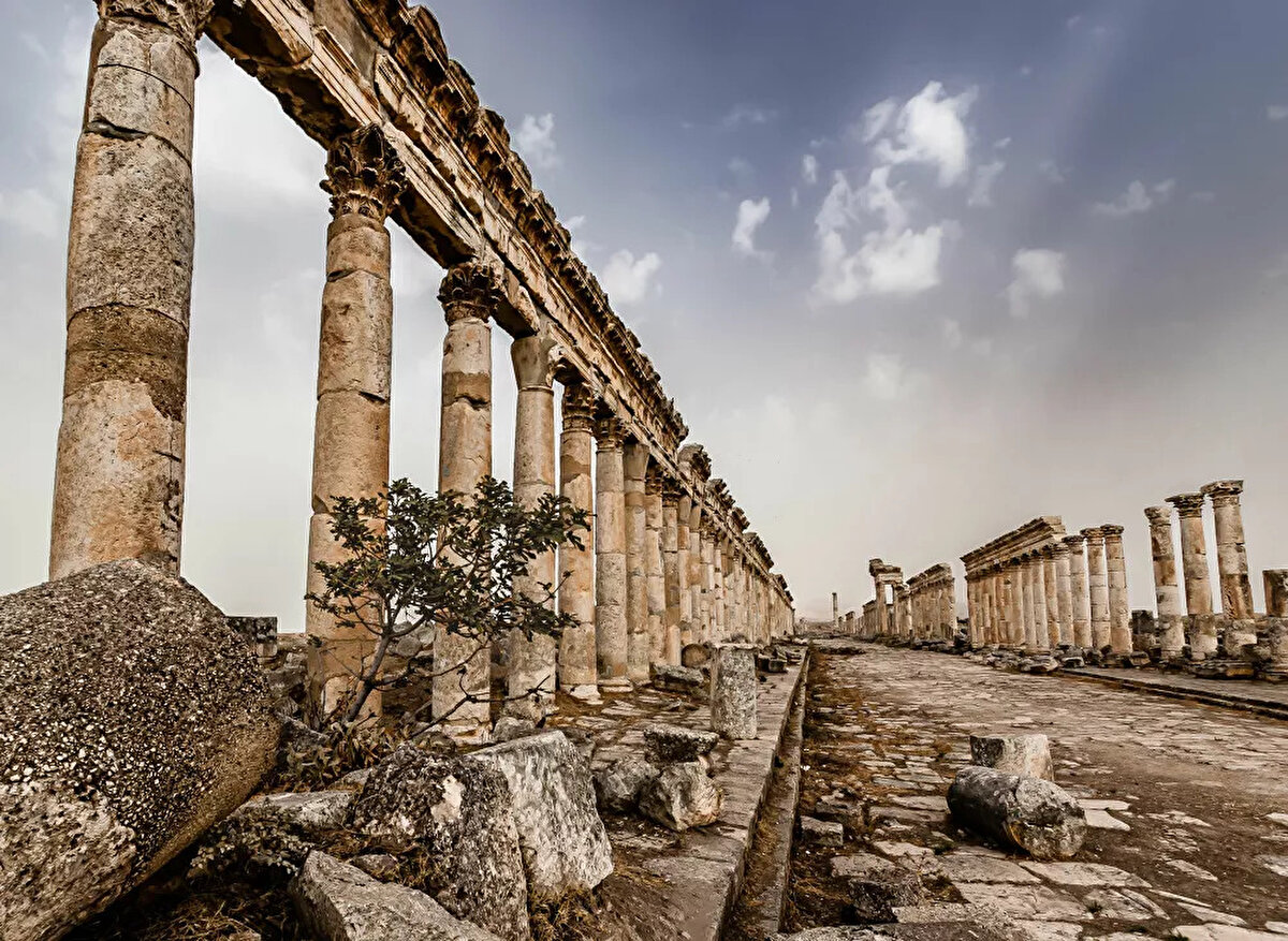 2020 Tarihi Mekanlar Fotoğrafçılık Yarışması'nın Tarihin Yaşandığı Yer kategorisinin kazananı fotoğrafçı Martin Chamberlain'in fotoğrafı Suriye'de iç savaş başlamadan önce Palmira Antik Kenti'nde çekildi.