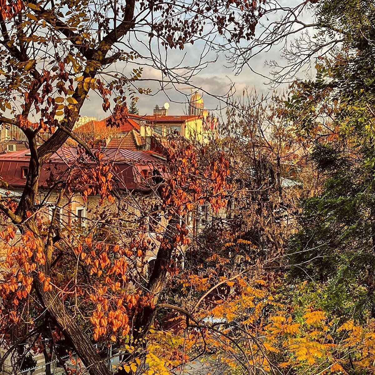 *B&#252;kreş Şehir Tarih M&#252;zesi ⠀