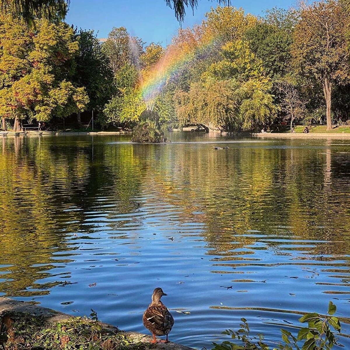 *Romen Opera Binası ⠀