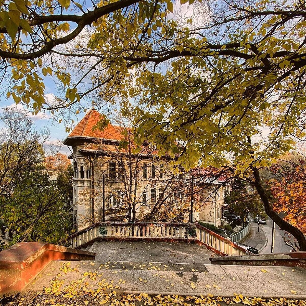 *K&#246;yl&#252; M&#252;zesi ⠀