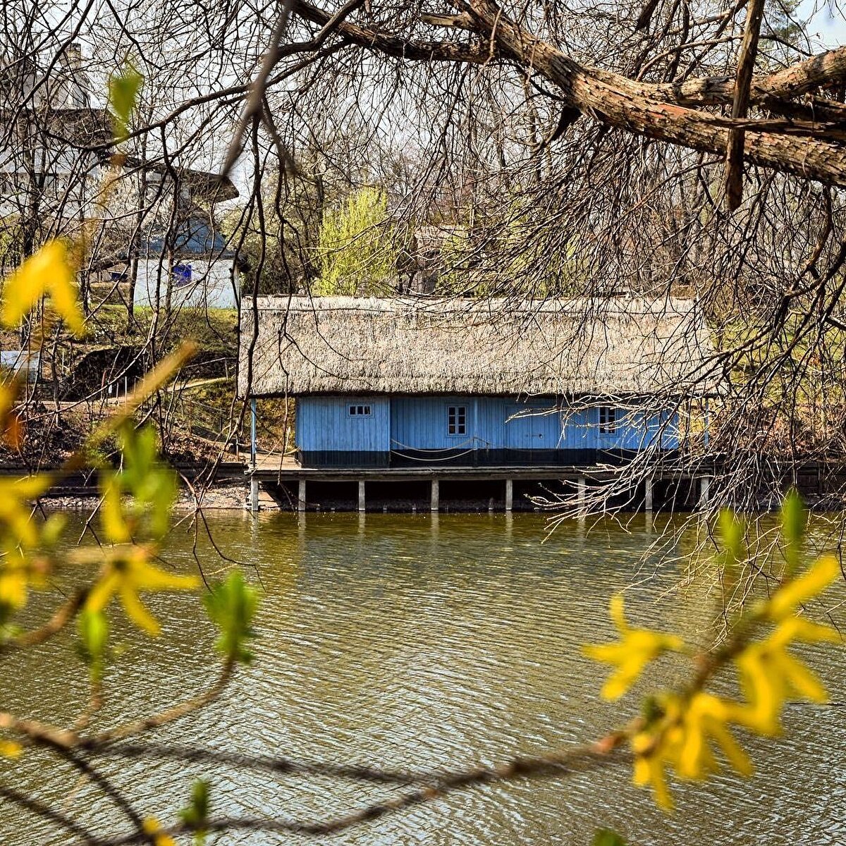 *Romanya Tarih M&#252;zesi ⠀