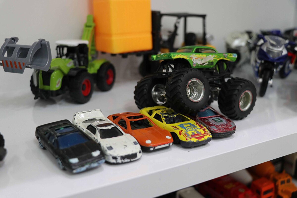 Koleksiyonunun kendisi için paha biçilemez olduğunu belirten Başkaya, Bu tutku adeta bende bir hastalık haline dönüşmeye başlayınca odamın bir bölümünü maket arabalara ayırdım. Bazen bir sandalye alıp, saatlerce onları izliyorum. Hayattaki en büyük zevkim maket arabalar. Maket arabalarıma paha biçemiyorum. Hiç satmayı düşünmedim. Çok kez teklif geldi ama hep geri çevirdim. Şu an koleksiyonumun değeri 30-35 bin lira. 100 bin lira da verseler kesinlikle satmam. Çünkü bu benim için bir yaşam tutkusu haline geldi dedi.  