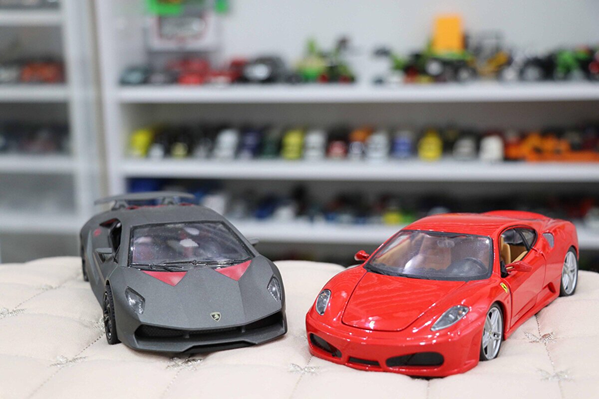 Bir koleksiyoner gibi Türkiye'nin farklı kentlerine giden Başkaya, maket arabalar satın alarak koleksiyonunu zenginleştirmeye devam ediyor. Ailesiyle birlikte yaşadığı evdeki odasına arabaları için dolap yaptıran Başkaya, irili ufaklı otomobillerini özenle yerleştirdiği raflarda sergiliyor.  Rengarenk, birbirinden farklı model ve türlerde model otomobillerin bulunduğu oda, adeta bir müzeyi andırıyor. Her akşam işten geldikten sonra önce odasına giren Başkaya, otomobilleriyle ilgileniyor. Model arabalarına gözü gibi bakan Başkaya, düzenli olarak raflardaki otomobilleri temizleyip bakımını yapıyor.