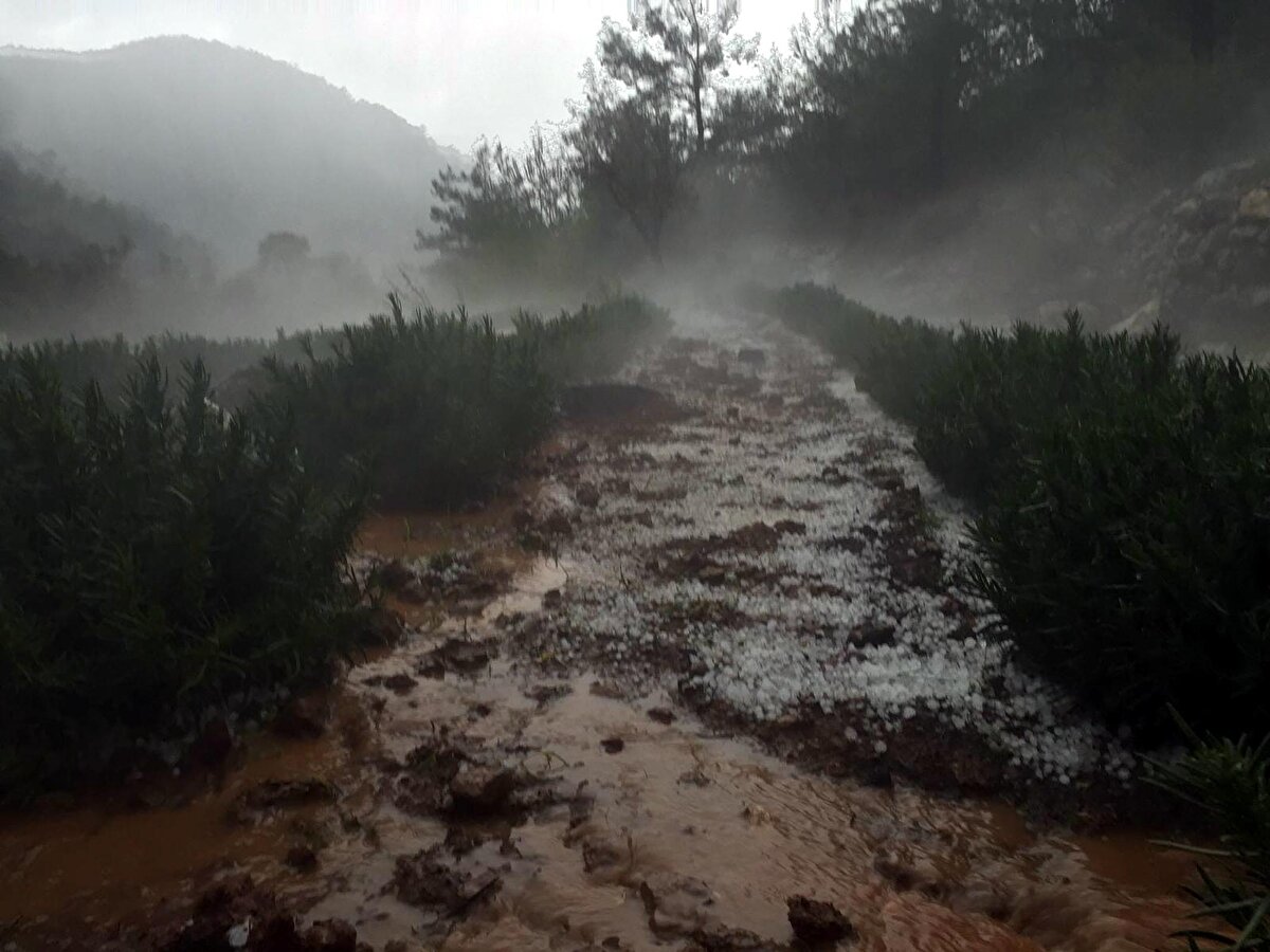 Ekili arazilerin bulunmadığı yüksek tepelere yağan dolu yağışıyla her yer beyaza büründü.