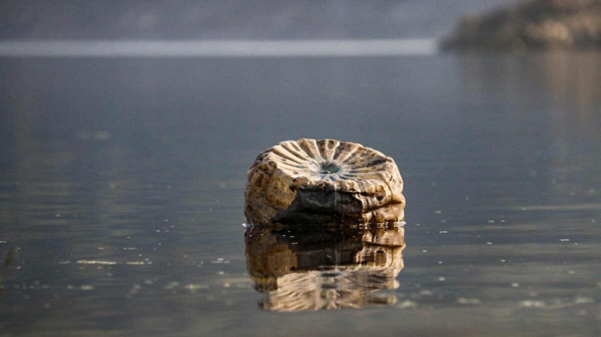 İstanbul'da bu yıl beklenen yağışlarının düşmemesi üzerine barajlardaki doluluk oranları son 10 yılın en düşük seviyesine kadar düştü. İSKİ verilerine göre İstanbul’da barajların doluluk oranları, yüzde 22.66 seviyesine kadar indi.