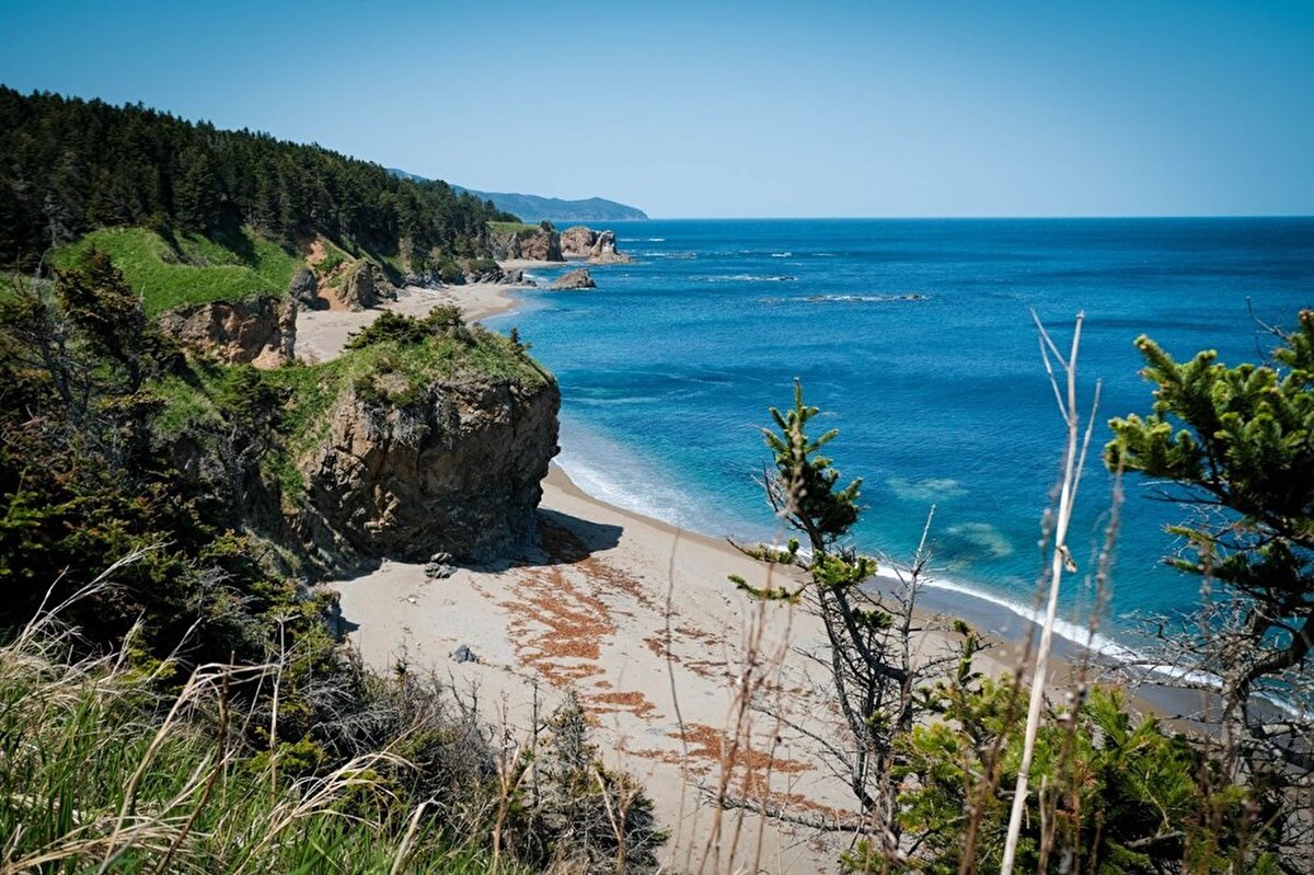 Rusya'nın en büyük adası olan ve Kuzey Pasifik kıyılarında bulunan Sahalin Adası'na turist çekilmesi için ilginç bir kampanya yapıldı. 

