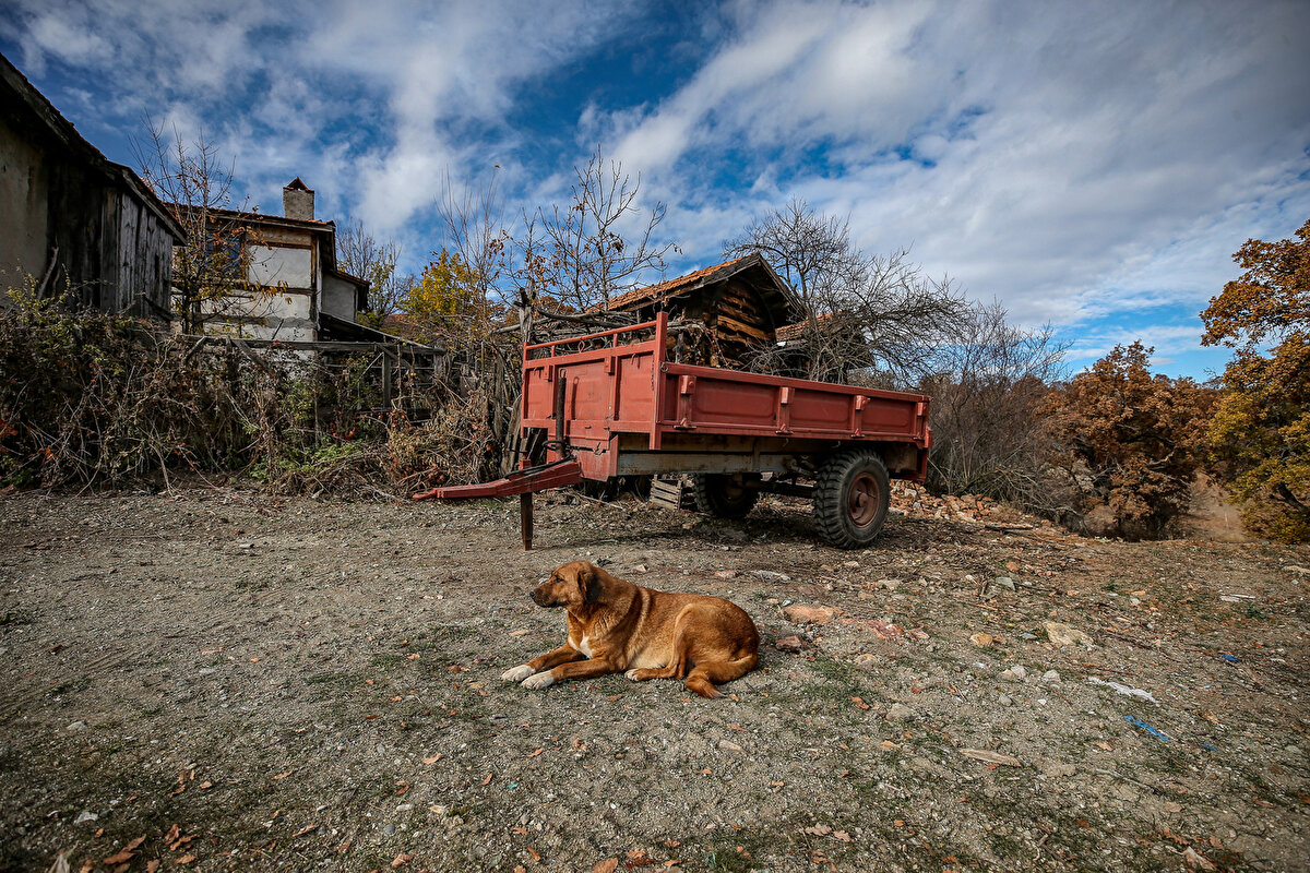 Mahallenin sakin, havasının ise çok güzel, oksijeninin bol olduğunu belirten Çetiner, "Pandemi öncesinde kışın imam ve eşi, ben ve eşim 4 kişiydik. Pandemi nedeniyle vatandaşların birçoğu köye geldi. Böylece 2 haneden 14 haneye çıktık. Köyümüzde Allah'a şükür pandemiye rastlanmadı. Bunun sebebi de Bursa'dan veya ilçeden gelenlere, maske ve mesafe kuralına çok dikkat etmemiz." dedi.
