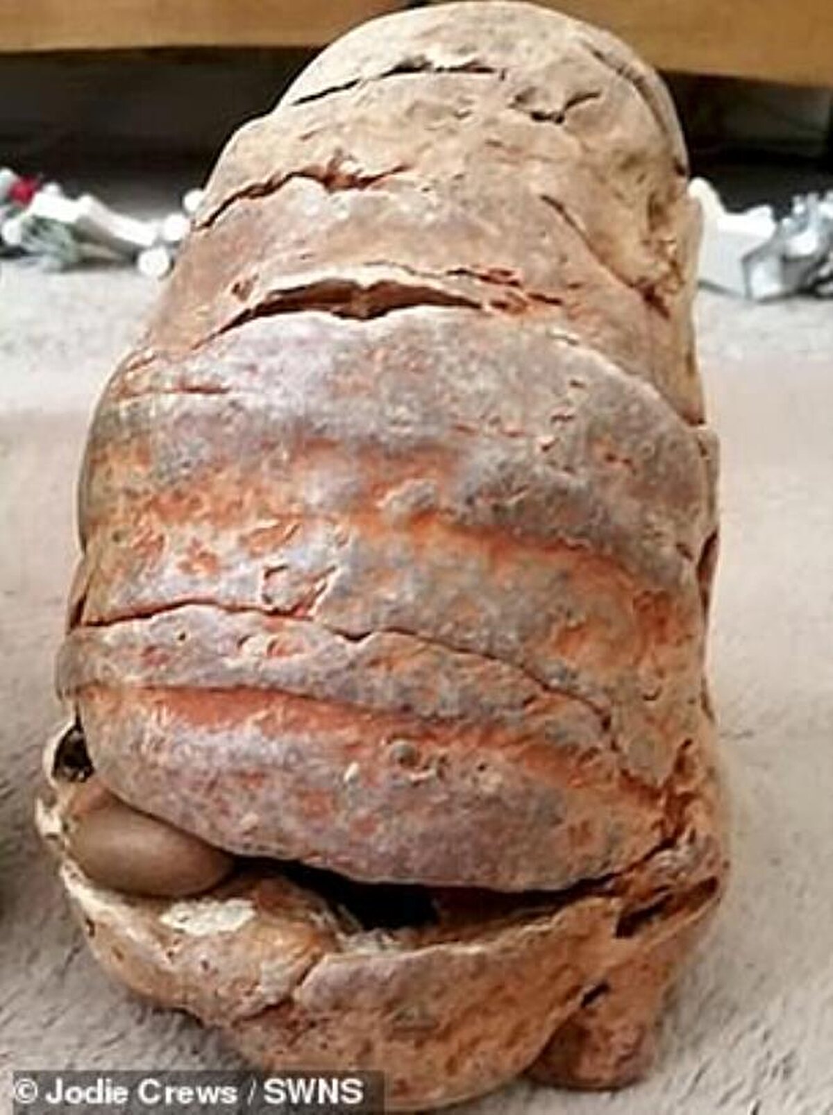 Anne ve kız evlerinin mutfağında nesnenin ne olduğunu anlamaya çalıştı. Jodie, başarılı olmayınca nesnenin fotoğrafını çekip sosyal medyada paylaşarak yardım istedi.Bir kadın kullanıcı, bulunan nesnenin balina kusmasına benzediğini söyleyip Jodie'ye sıcak toplu iğne kullanarak nesnenin ne olduğunu bulabileceğini söyledi.