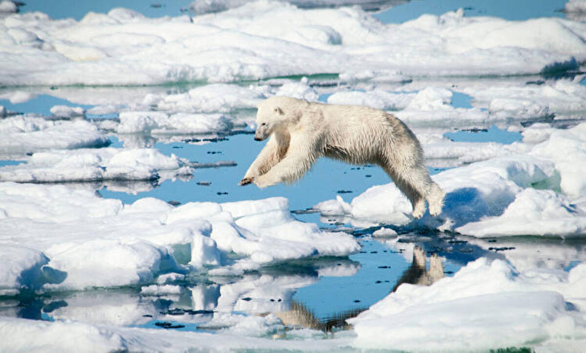Ekibin uzaktan kumanda edilen iki sualtı planörü ve diğer cihazlarla örnek toplayarak buzdağının çevresine etkilerini inceleyeceği belirtiliyor.