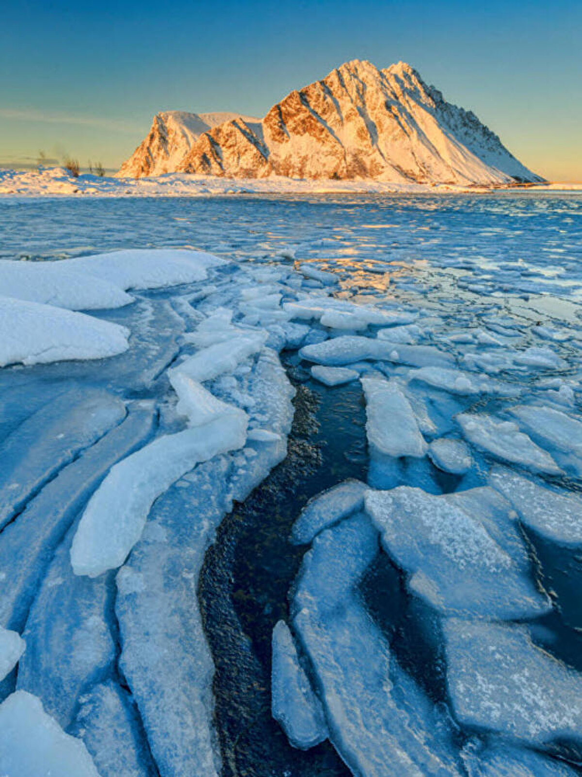 Adada yedi milyon penguen dahil 30 milyon kadar kuş ve iki milyon fokun yaşadığı tahmin ediliyor.