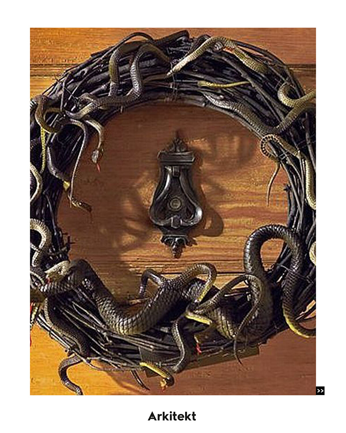 Yılan figürünün yer aldığı kapı tokmakları ev sahibinin doktorluk mesleği ile uğraştığını belirten bir gösterge.