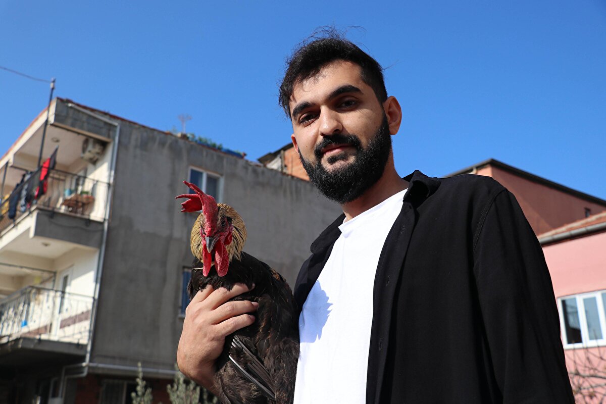 O anları cep telefonuyla kaydeden Gökbudak, görüntüyü sosyal medyadan paylaştı. Görüntü, sosyal medya kullanıcılarının ilgisini çekerken, çok sayıda beğeni aldı.