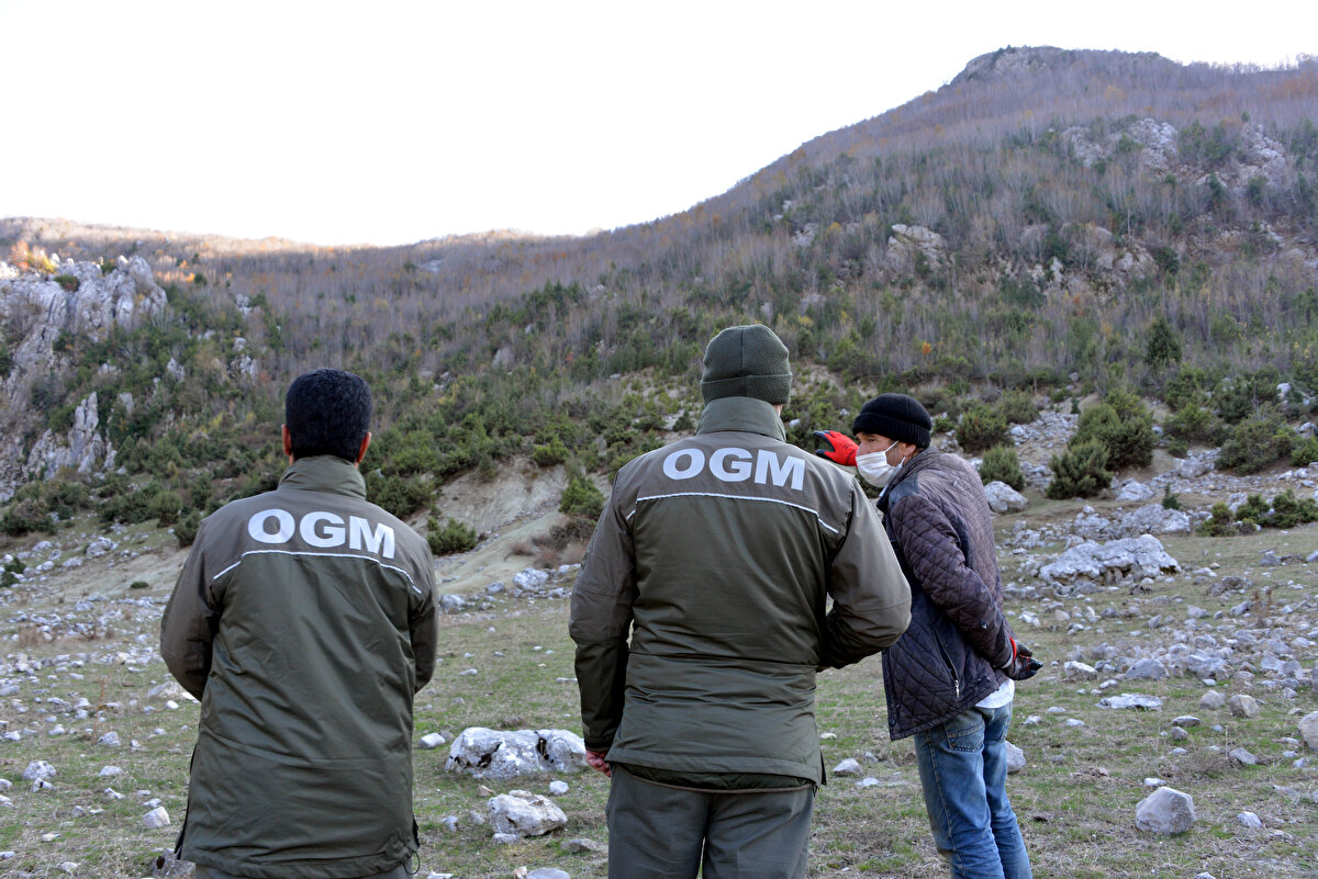 Sarımsak Dağı'nda defne toplayan köylülerden Zeki Mirik ise defnenin çok iyi para kazandırdığını söyledi. Mirik, "Bu dağda yaklaşık 15 kişi defne yaprağı kesiyoruz. Bu işi 10 yıldır yapıyoruz. Bir kişi günde ortalama 400- 500 kilo defne kesiyor. Defne hem iç pazarda hem de dış pazarda çok önemli ve Andırın'ın birçok bölgesinde de var. Topladığımız defneleri tüccarlara satıyoruz. Günde 500 lira kadar kazanç sağlıyoruz" diye konuştu.