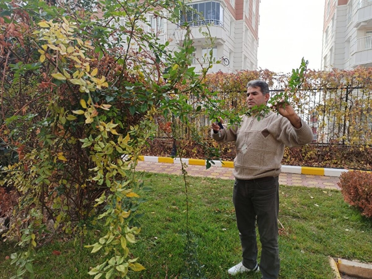 Çalıştığı sitede daire almanın mutluluğunu yaşayan Üzüm, 2010 yılında Saray sitesinde kapıcı olarak göreve başladım. Burada çalışmaya başladığımda kendi kendime acaba benim de burada bir dairem olur mu diye düşündüm. Uzunca bir süredir birikim yapıyordum. Oradan buradan kesinti yaparak birikim yaptım ve Allah’ın izniyle hamdolsun kapıcılık yaptığım sitede daire sahibi olduk. Şuan bir dairem burada mevcut, asgari ücretle çalışıyorum ve geçiniyorum dedi.