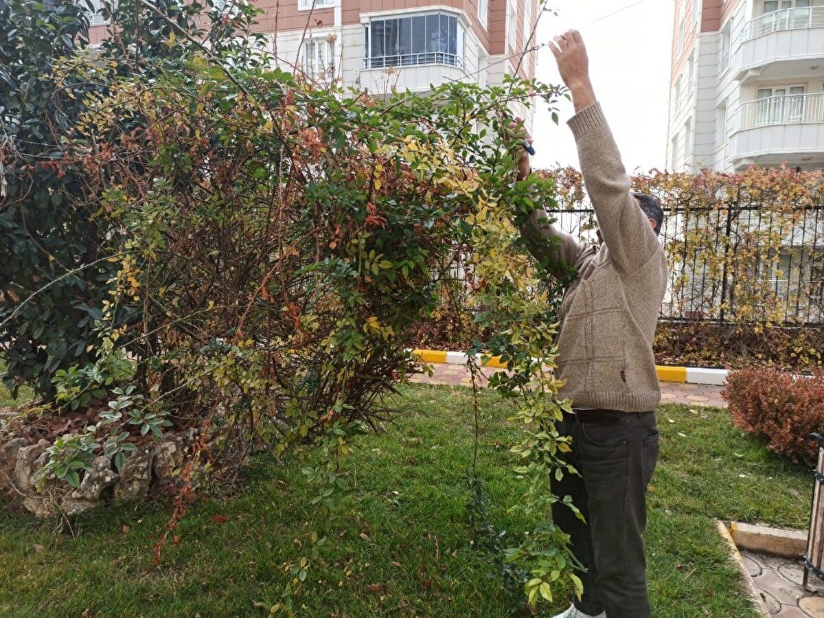 Bu durum 1976 yılında çekilen yönetmenliğini Zeki Ökten'in yaptığı başrolünü Kemal Sunal'ın oynadığı Kapıcılar Kralı filmini akıllara getirdi.