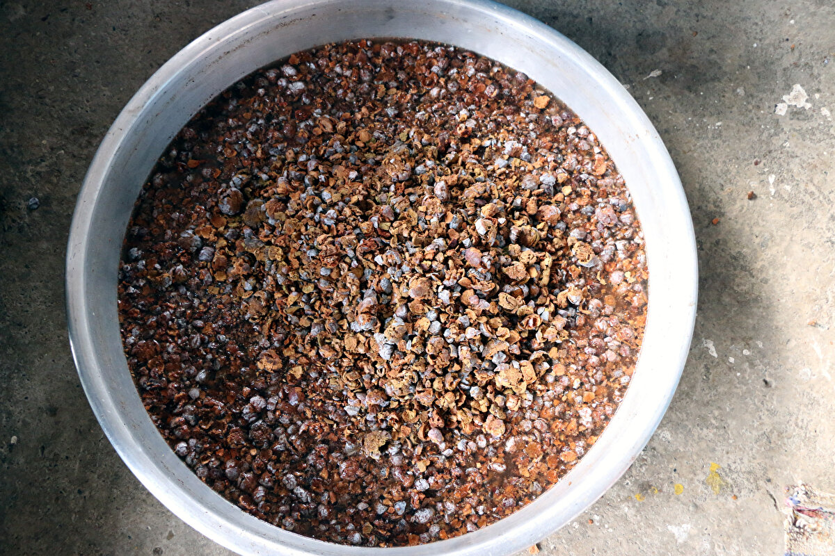 İlçeye bağlı Tokmanaklı Mahallesi’nde yaşayan Sevgi Karakılçık, yıllar önce eşiyle birlikte ormandan topladığı andız ağacı kozalaklarından pekmez üretmeye başladı. Geçen yıl eşinin hayatını kaybetmesiyle andız pekmezi üretimine ara veren Karakılçık, gelen siparişler üzerine yeniden üretime geçti.