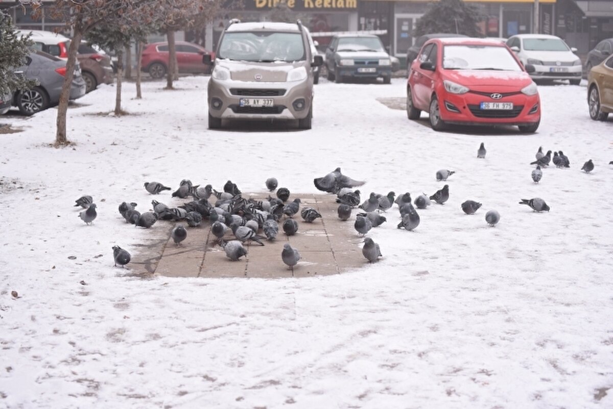 Kars'ta ise gece başlayan ve aralıklarla devam eden kar yağışı etrafı beyaza bürüdü.  Kar yağışının ardından belediye ekipleri kaldırım ve yollarda kar küreme ve tuzlama çalışması yaptı. Beyaz örtüyle kaplanan kent manzaraları görenleri hayran bıraktı.  Sakarya'nın Hendek ilçesine bağlı Dikmen Yaylası'nda gece başlayan sağanak, yerini kar yağışına bıraktı.  Vatandaşlar, ilçe merkezine 32 kilometre uzaklıktaki 1725 metre rakımlı yaylada etkili olan kar yağışını cep telefonlarıyla görüntüledi. Kar yağışı Akyazı ilçesine bağlı Keremali Yaylası'nda da etkili oldu.